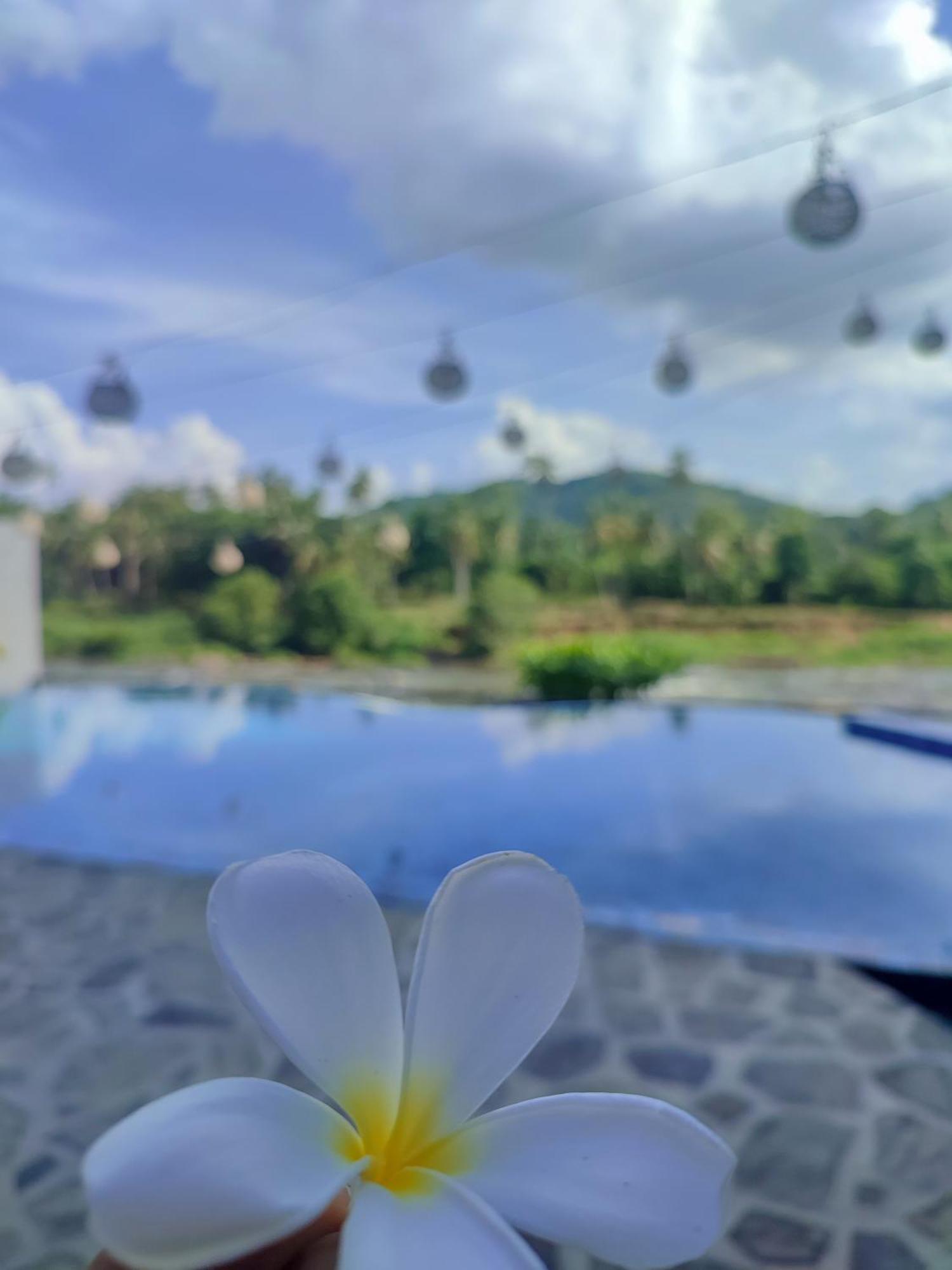 Hotel Elephant Park - New Deal! Half Off Airport Pickups Available Pinnawala  Exterior photo